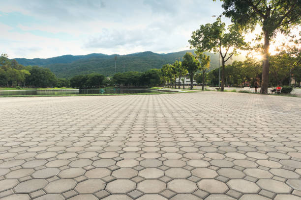 Best Driveway Repair Near Me  in Westminster, TX